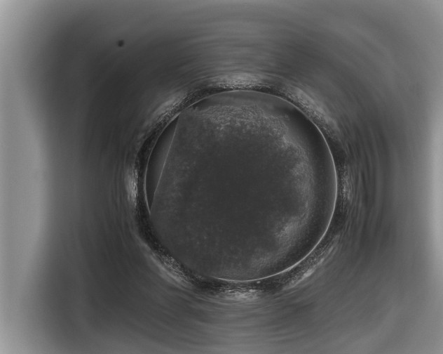 X0000116420206200912081511