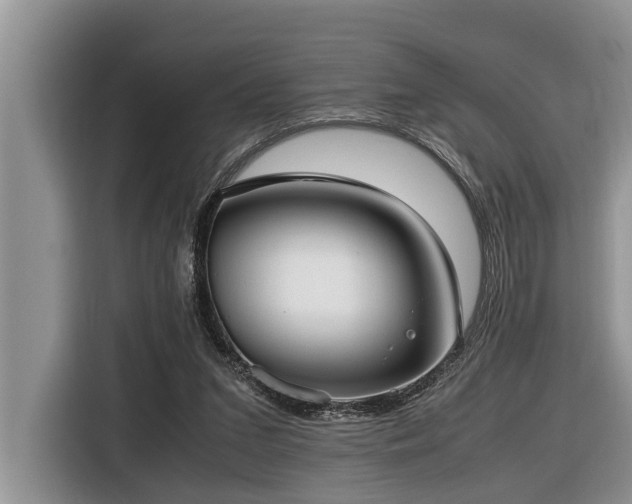 X0000116420207200912081510