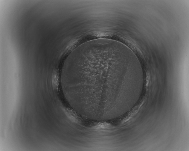 X0000116420210200912081510