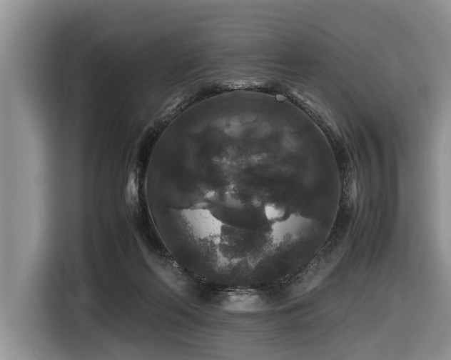 X0000116420214200912081510
