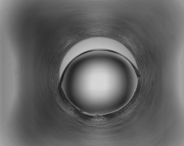 X0000116420215200912081510