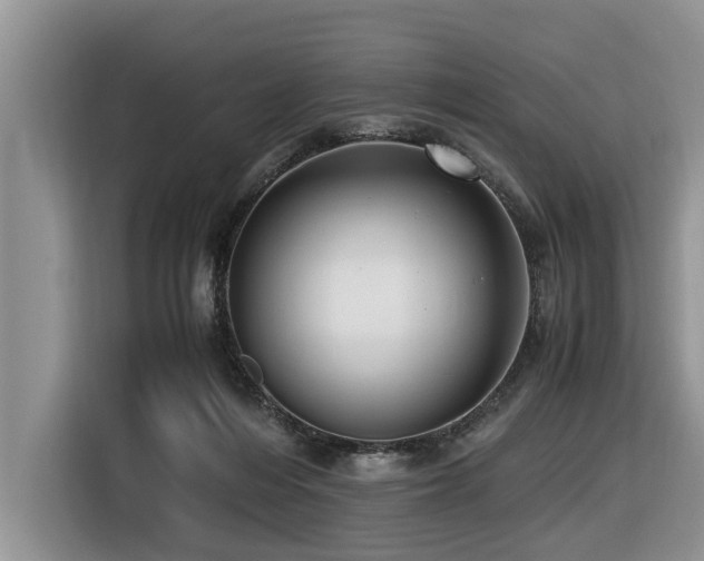 X0000116420216200912081510