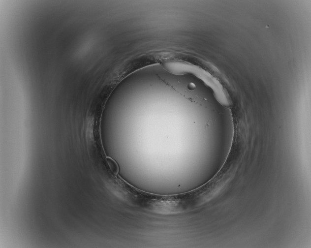 X0000116420217200912081510