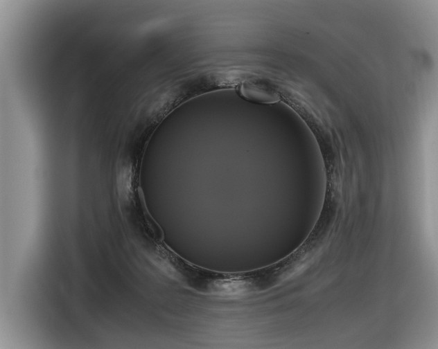 X0000116420219200912081510