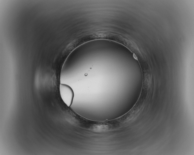 X0000116420220200912081510
