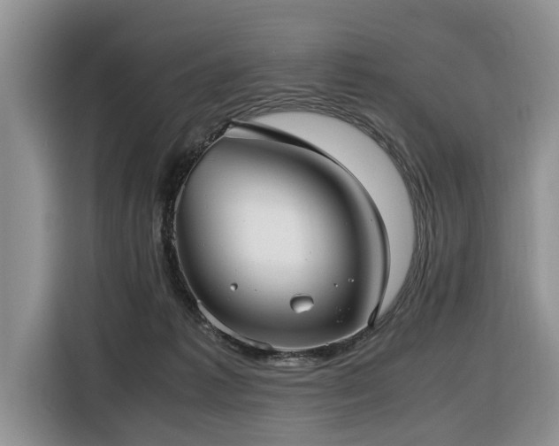 X0000116420221200912081510