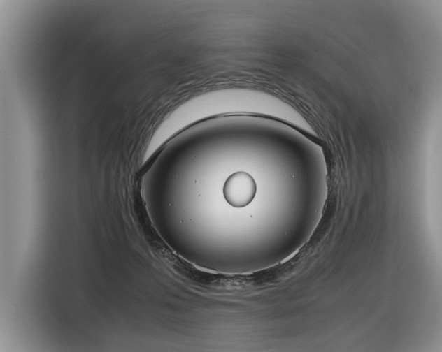X0000116420223200912081510