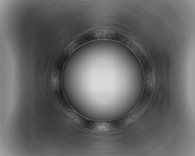 X0000116420226200912081510