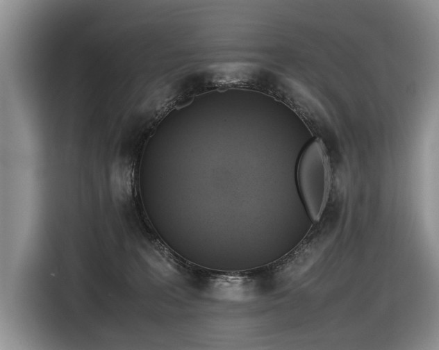 X0000116420227200912081510