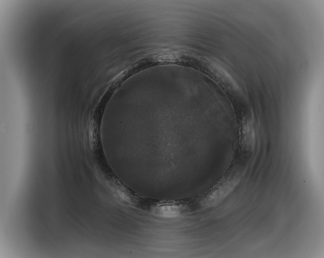 X0000116420228200912081510