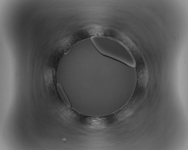 X0000116420229200912081510