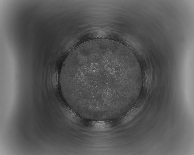 X0000116420230200912081510