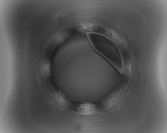 X0000116420231200912081510