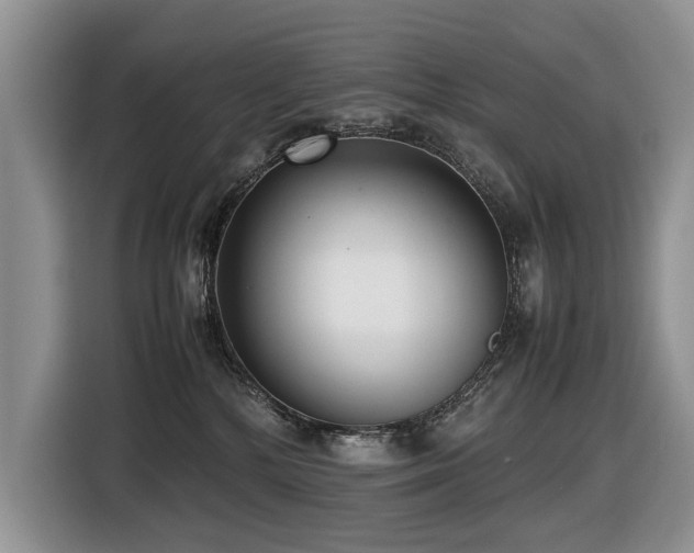 X0000116420232200912081510