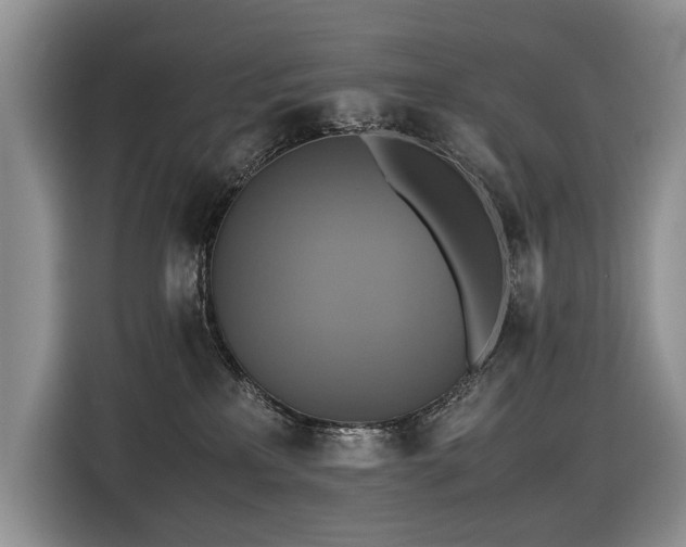 X0000116420233200912081510