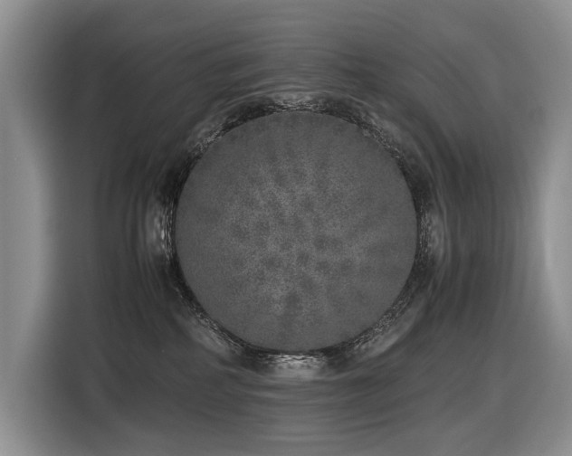 X0000116420234200912081510