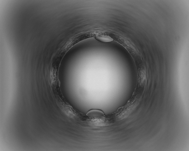 X0000116420236200912081510