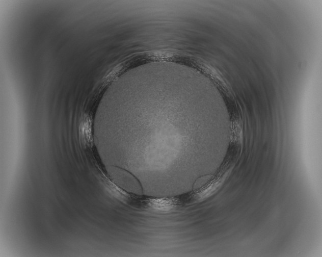 X0000116420238200912081510