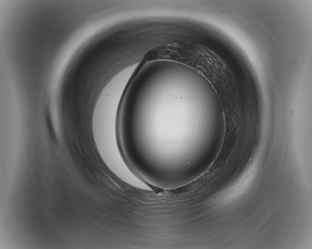 X0000116420239200912081510