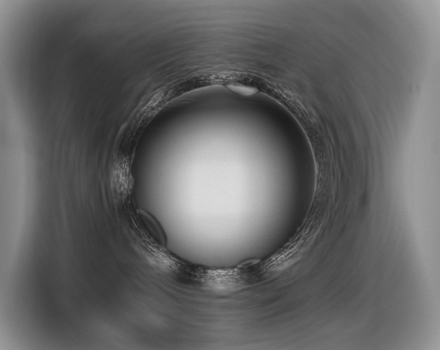 X0000116420240200912081510