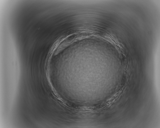 X0000116420241200912081509