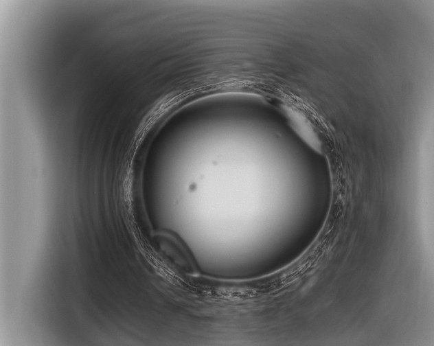 X0000116420242200912081509