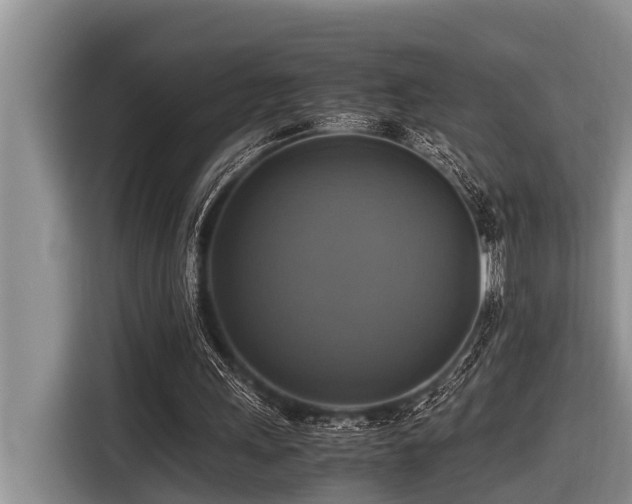 X0000116420243200912081509