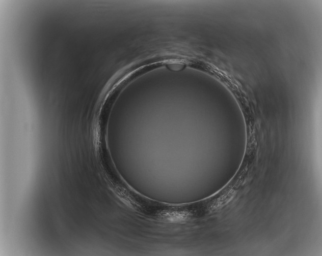 X0000116420247200912081510