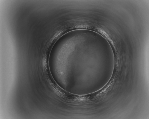 X0000116420249200912081510
