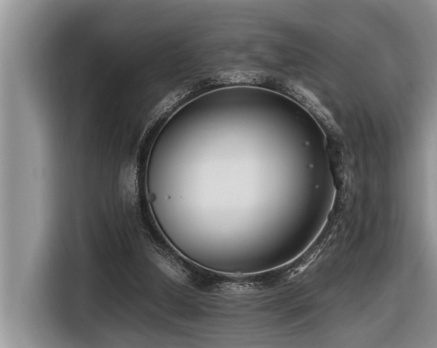X0000116420250200912081510