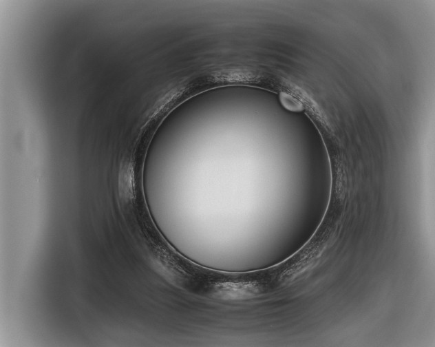 X0000116420251200912081510