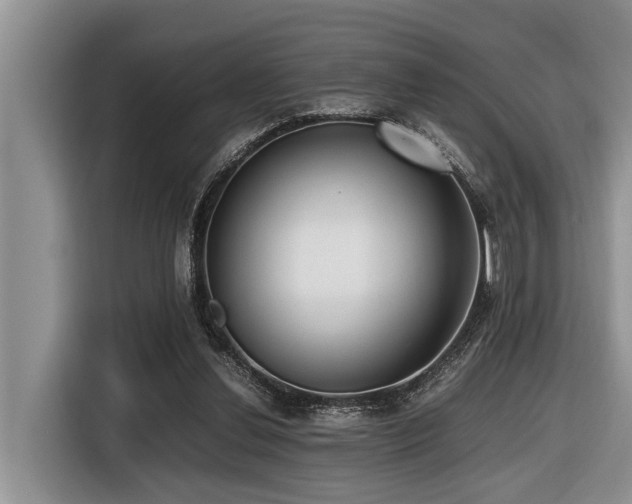 X0000116420252200912081510