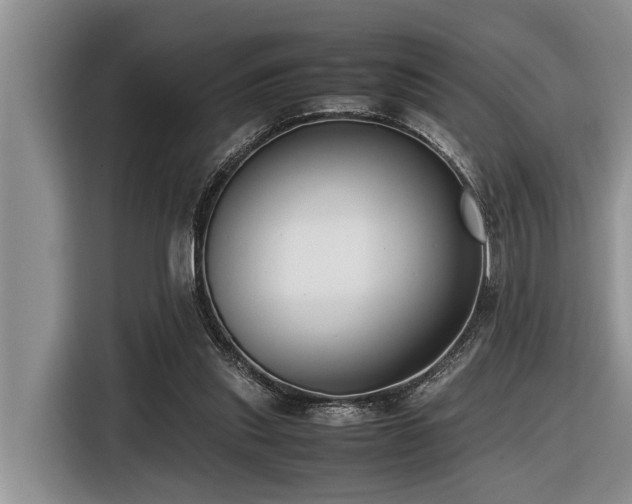 X0000116420253200912081510