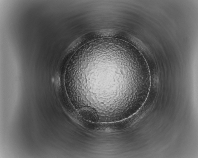 X0000116420254200912081510