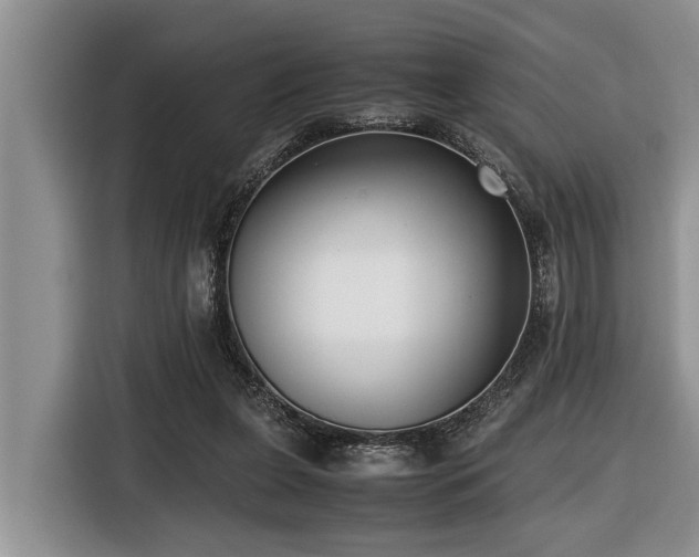 X0000116420255200912081510