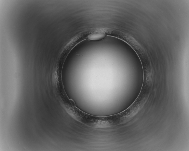 X0000116420256200912081510