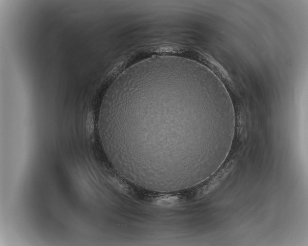 X0000116420257200912081510