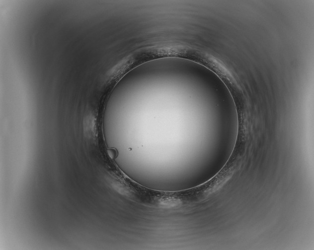 X0000116420258200912081510