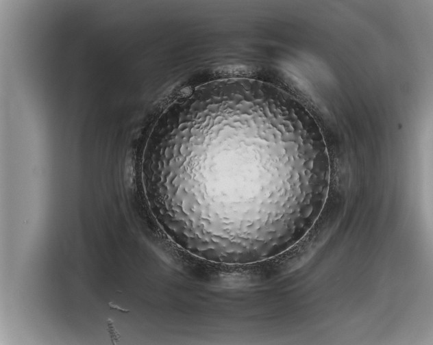 X0000116420259200912081510