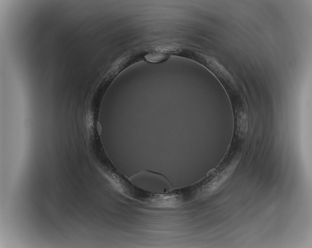 X0000116420260200912081510