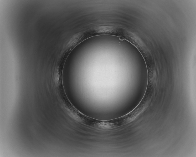 X0000116420261200912081510