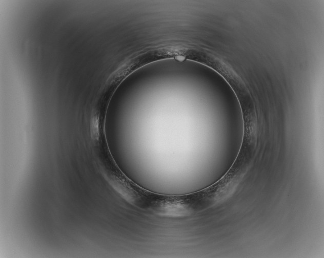 X0000116420262200912081510