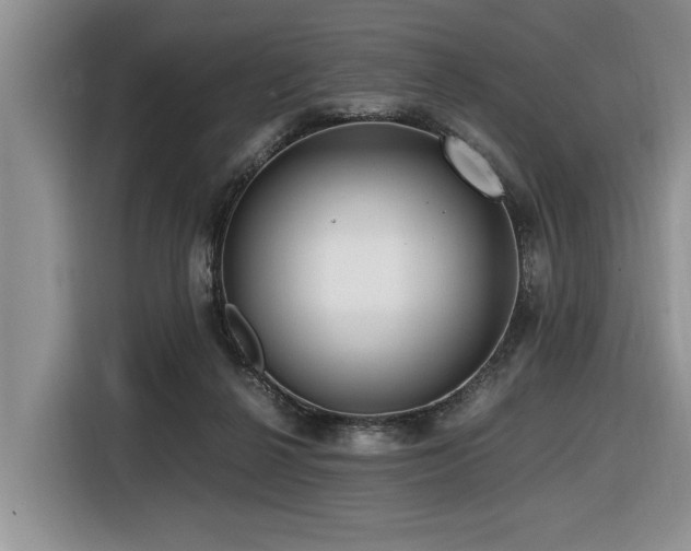 X0000116420264200912081510