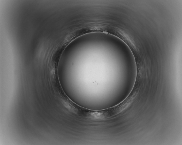 X0000116420265200912081510