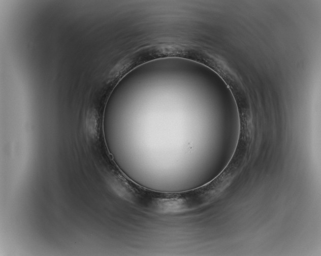 X0000116420266200912081510