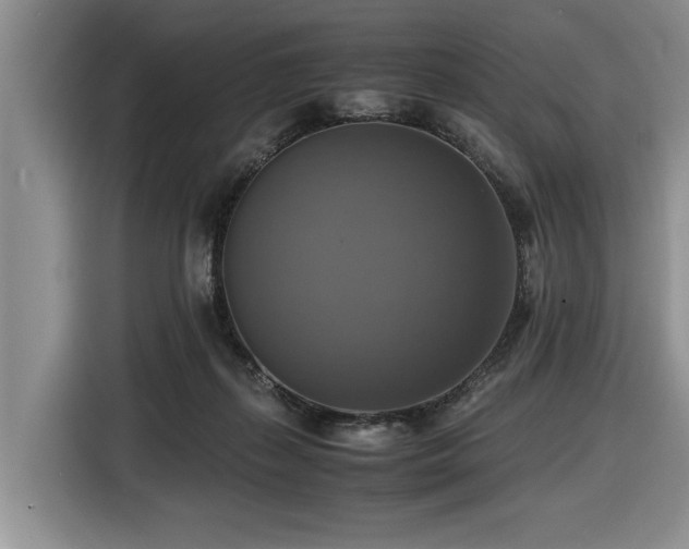 X0000116420267200912081510