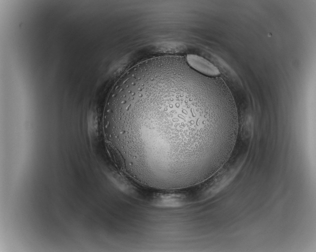 X0000116420268200912081510