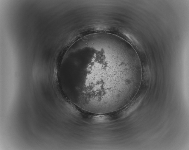 X0000116420269200912081510