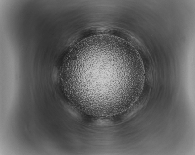 X0000116420270200912081510