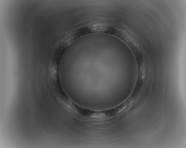 X0000116420271200912081510